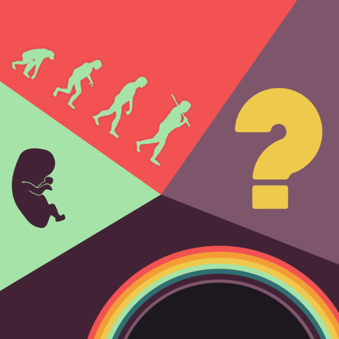 Questions about evolution, abortion, gay-marriage